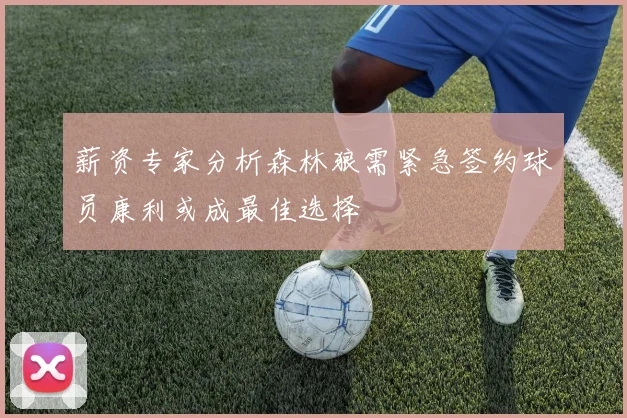薪资专家分析森林狼需紧急签约球员康利或成最佳选择