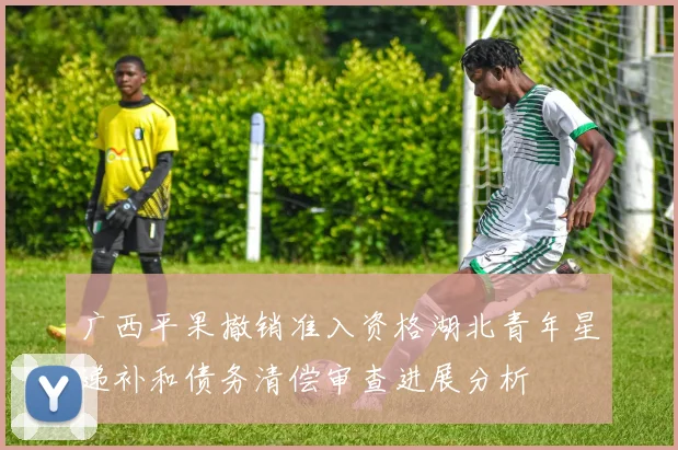 广西平果撤销准入资格湖北青年星递补和债务清偿审查进展分析