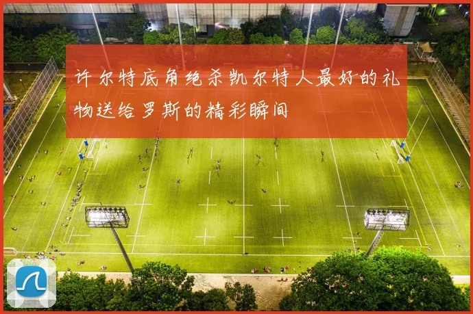 许尔特底角绝杀凯尔特人最好的礼物送给罗斯的精彩瞬间
