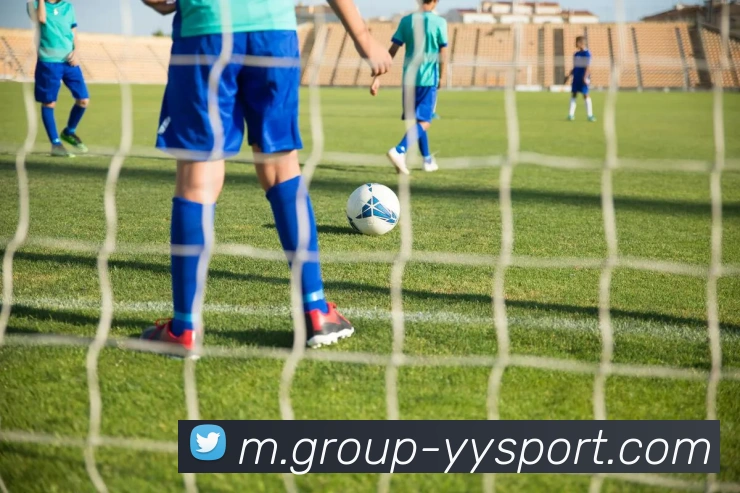 易游体育平台生态图